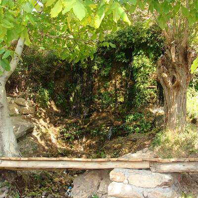 منطقه انگورستانی